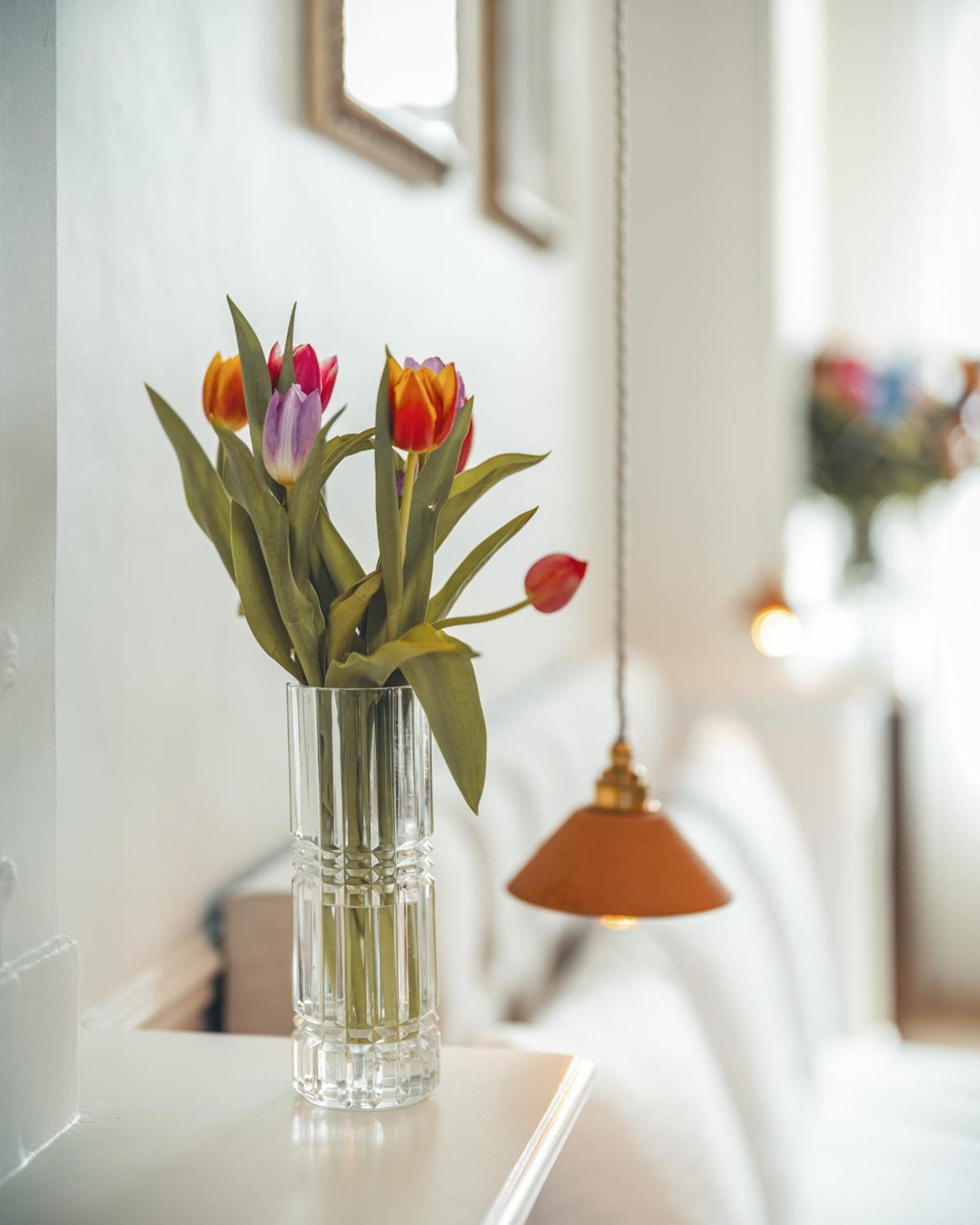 بروج B&B Barabas المظهر الخارجي الصورة